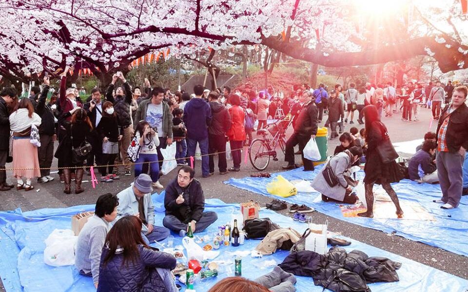 esq tours travel paket tour muslim wisata halal jepang sakura 2018