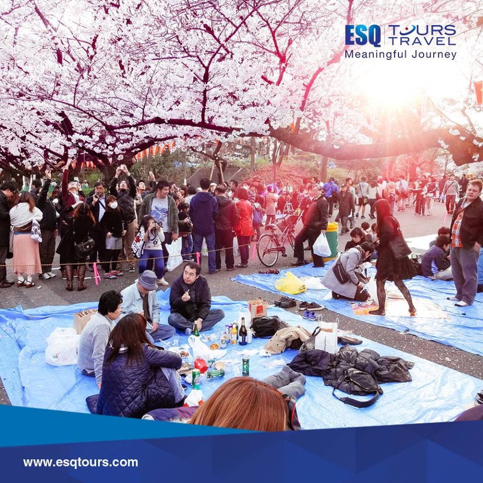 esq tours travel paket tour muslim wisata halal jepang sakura 2018