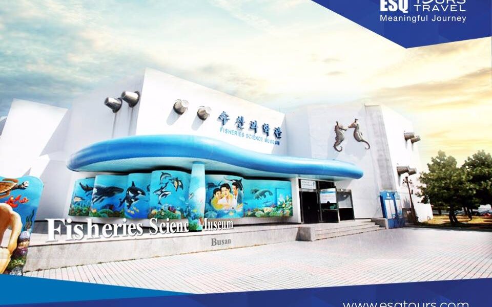 esq tours travel | paket tour muslim wisata halal korea selatan