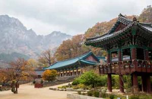 paket wisata halal korea | wisata halal korea | paket tour korea | paket tour halal korea