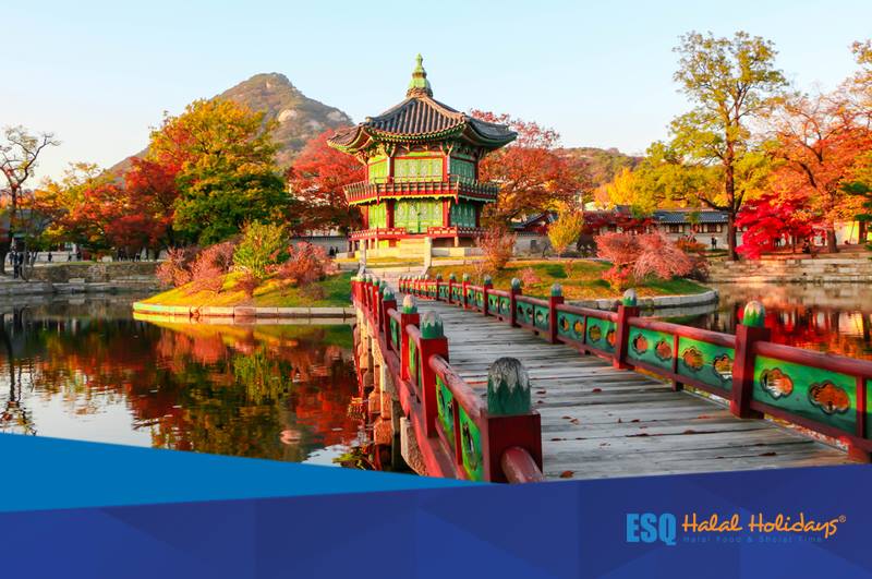 ESQ Tours Travel | Paket tour korea | paket wisata halal korea | paket tour muslim wisata halal korea 2018