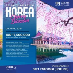 esq tours travel paket tour muslim wisata halal korea chery blosom 2019